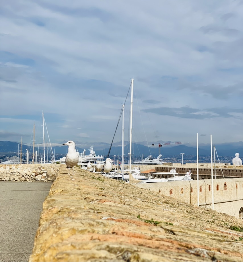 Antibes coastal photography